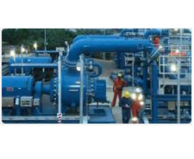 Multiphase Pumps